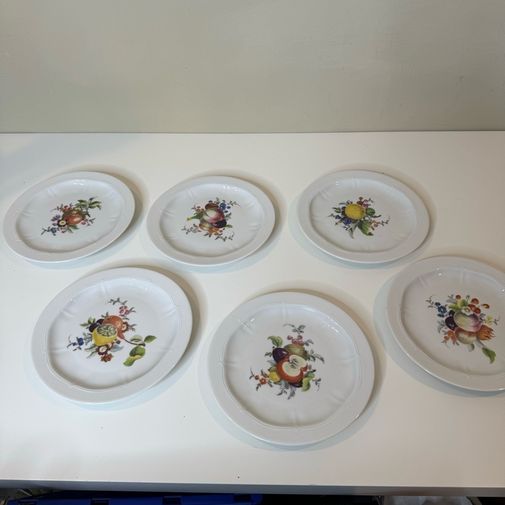 VOHENSTRAUSS-Johann Seltmann-Bavarian Germany Botanical Fruit salad plates